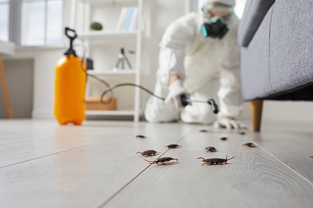 Trusted Cockroach Control service in Graysville, TN - Nex Pest Control