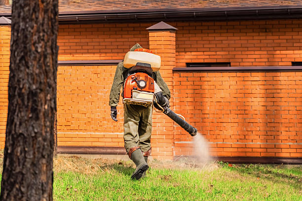 Trusted Bed Bug Control service in Graysville, TN - Nex Pest Control
